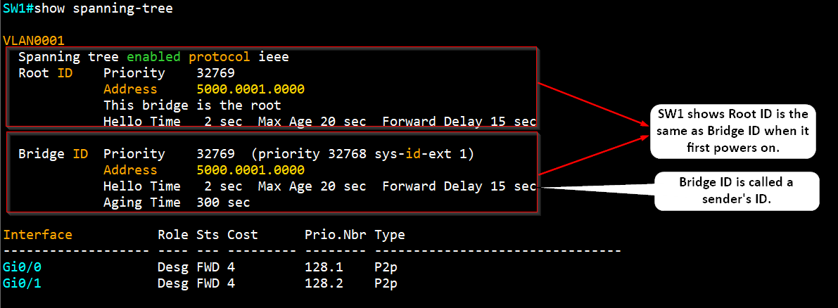 spanning_tree_switch_output